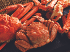 Premium Echizen crab fit for the Imperial Family